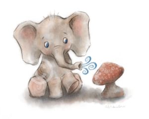 Cody Hamil Elephant Illustration